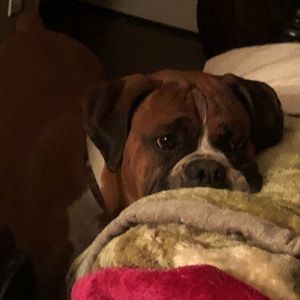 Meet your Posher, Juan